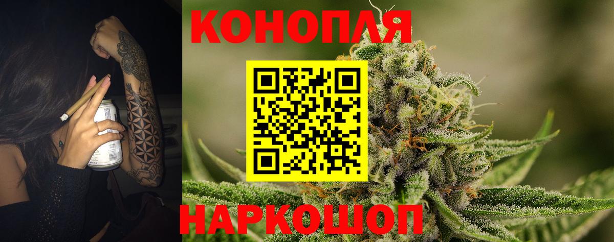 Шишки марихуана семена Дятьково